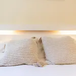 Penthouse Victoria 7
